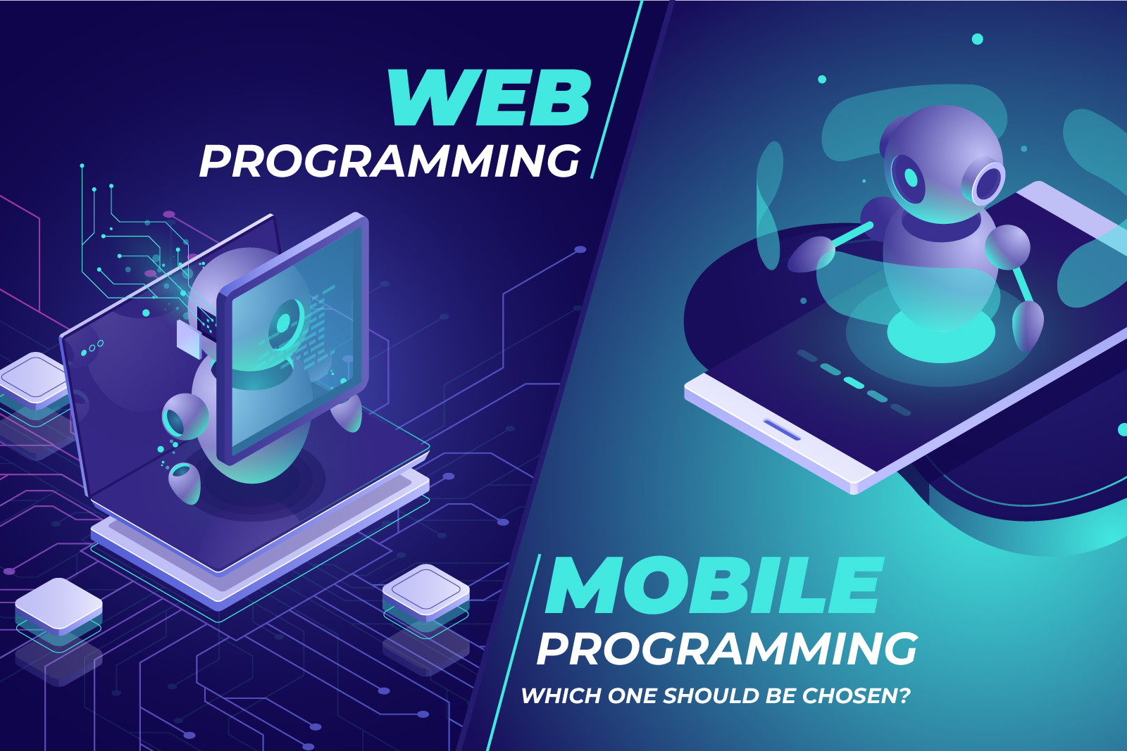 Mobile programming or web programming: Which one should be chosen?