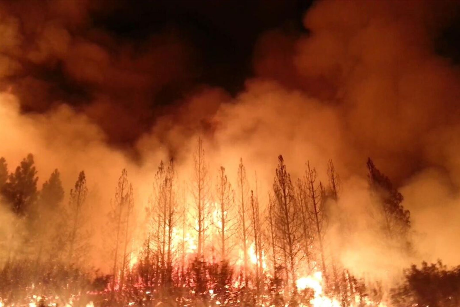 Trí tuệ nhân tạo có thể giúp dự đoán các vụ cháy rừng quy mô lớn