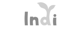 Indi Game
