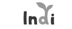 Indi Game