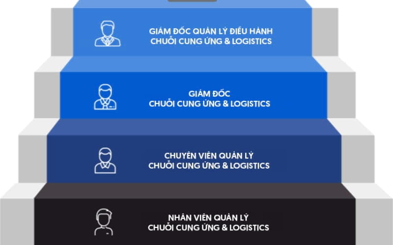 Học Logistics và Quản lý chuỗi cung ứng làm nghề gì? Toàn cảnh sự nghiệp và hướng đi tương lai 2 Lộ trình thăng tiến ngành Logistics và quản lý chuỗi cung ứng