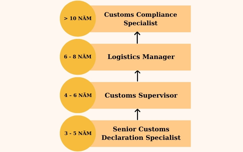 Mức lương và cơ hội thu nhập: Phần thưởng cho trách nhiệm