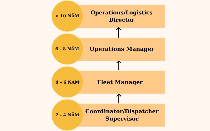 Lộ trình sự nghiệp và mức lương ngành điều phối vận tải