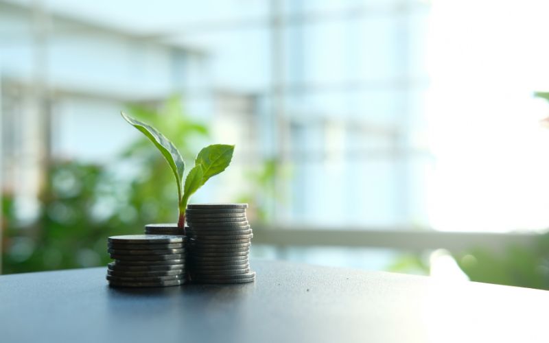 Tư duy cân bằng: Con đường dành cho thế hệ năng động