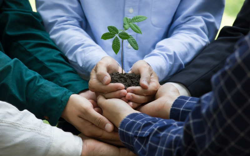 Chịu trách nhiệm không chỉ là nhận lỗi: Đó là nắm giữ quyền lực