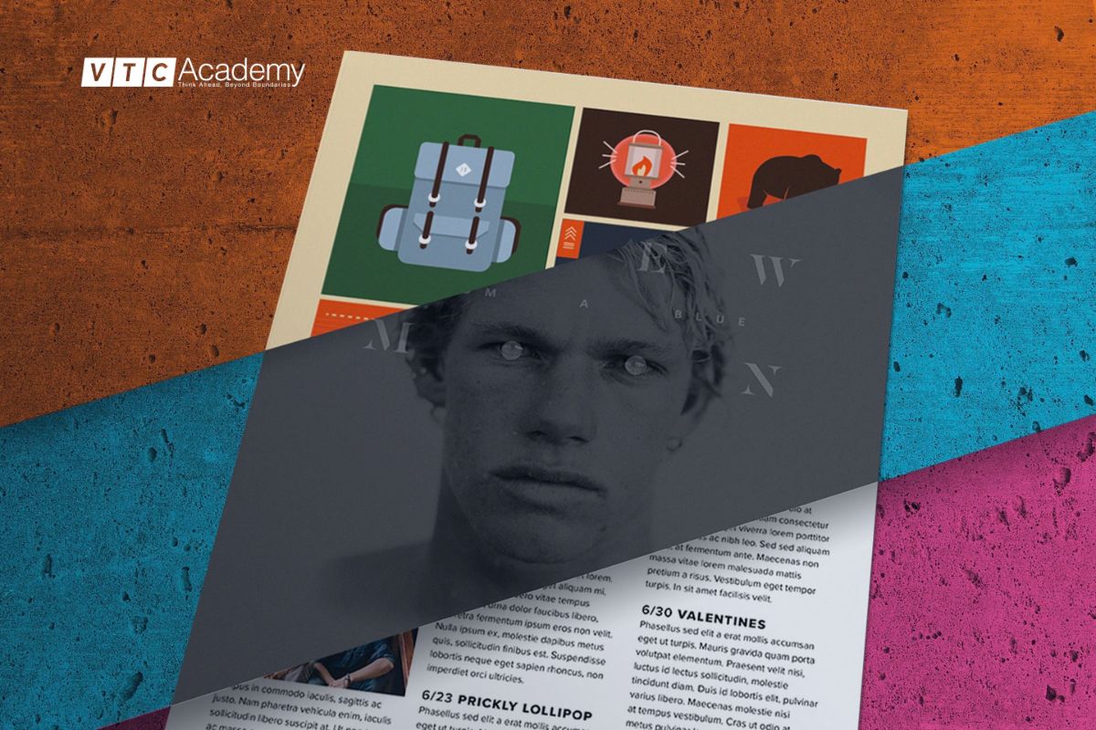 indesign vs illustrator