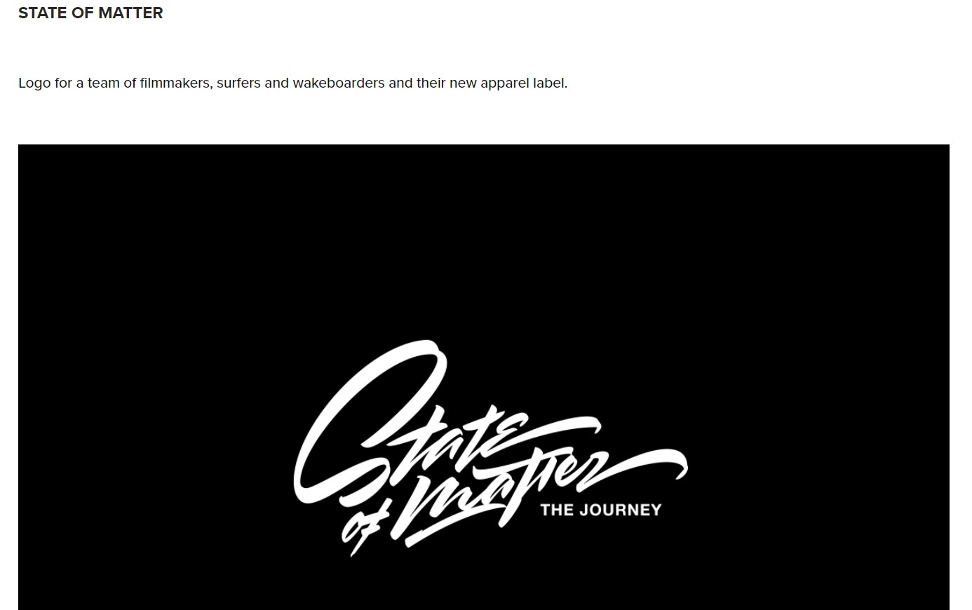 portfolio-sergey-shapiro-2