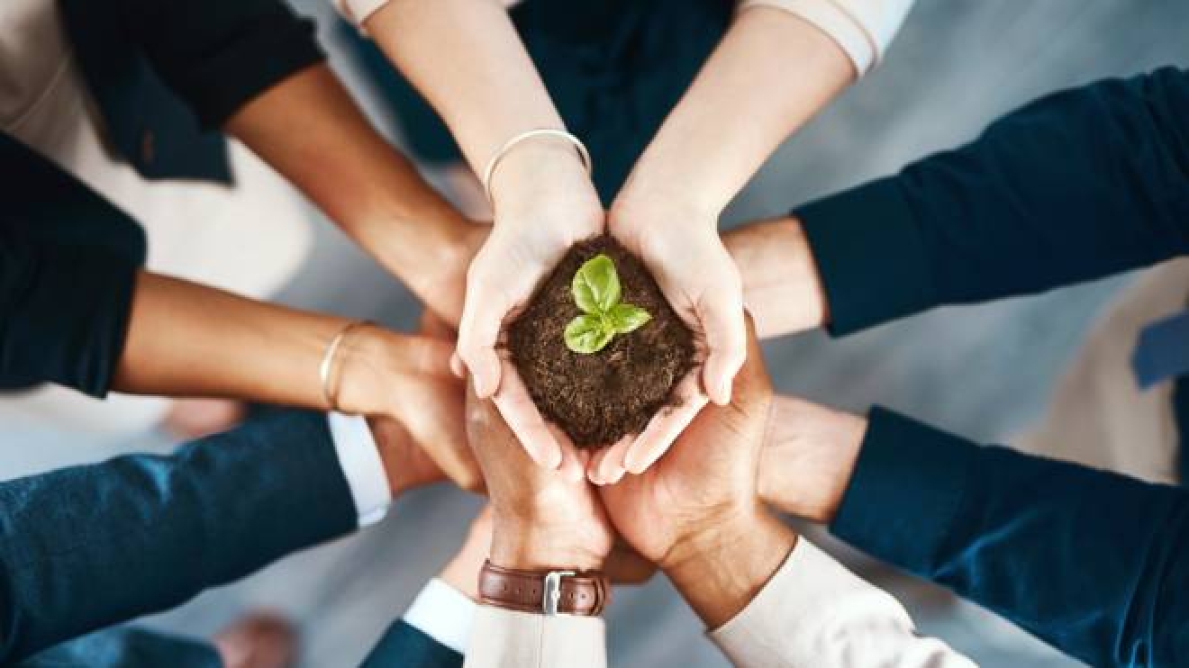 Investire in sostenibilità è un affare: imprese green le uniche a crescere - Magazine - quotidiano.net