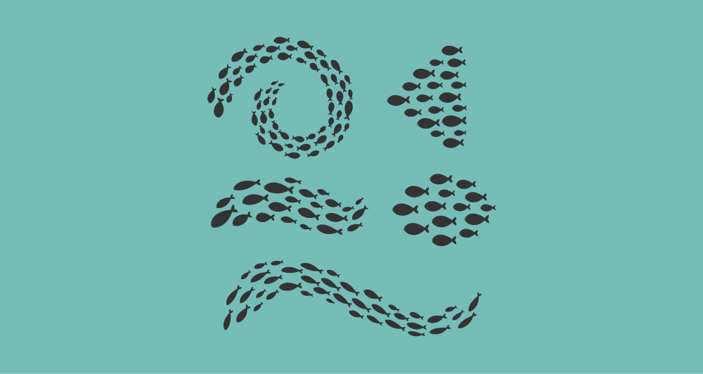 các cá thể riêng lẻ nhưng cùng di chuyển theo một khối